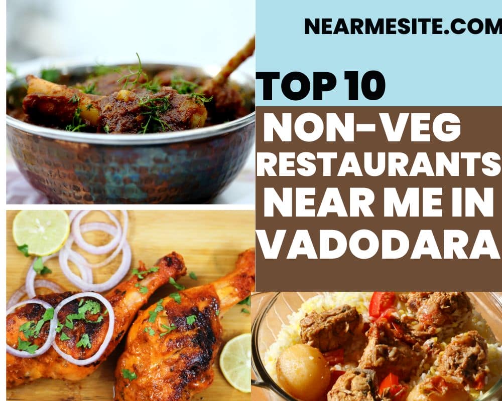 Top 10+ Non-Veg Restaurants Near Me In Vadodara